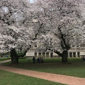 Meet your Posher, Sarahi